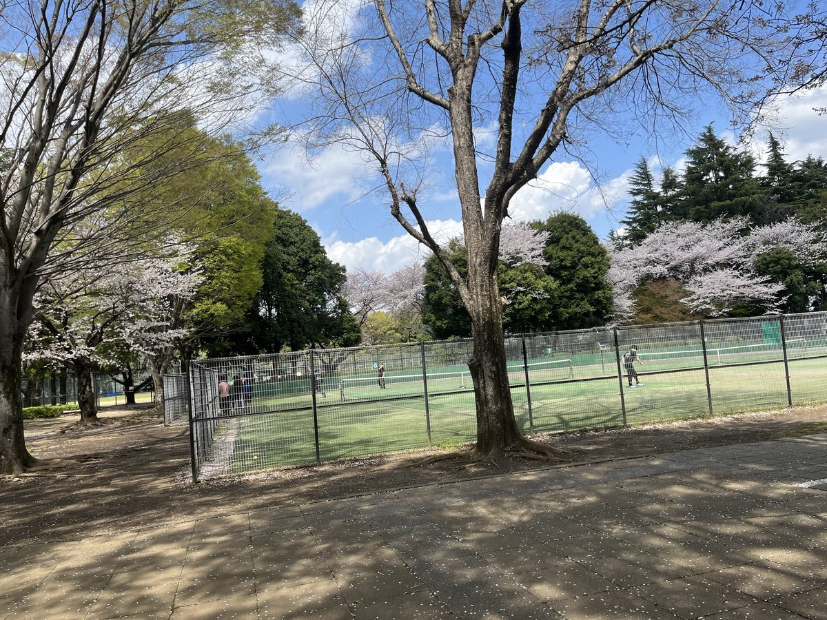 HOMEhosei's tweet photo. 3/25 の15時から小金井公園にて練習会を行うので、興味がある方は是非来てください！！
履修の相談や学校生活、先輩のこと、サークル活動やアルバイトのことなどなんでも相談に乗ります🍀
DM等でも気軽に話しかけてきてください！！

 #春から法政  #法政大学  #小金井キャンパス https://t.co/jl2CkEJnDQ