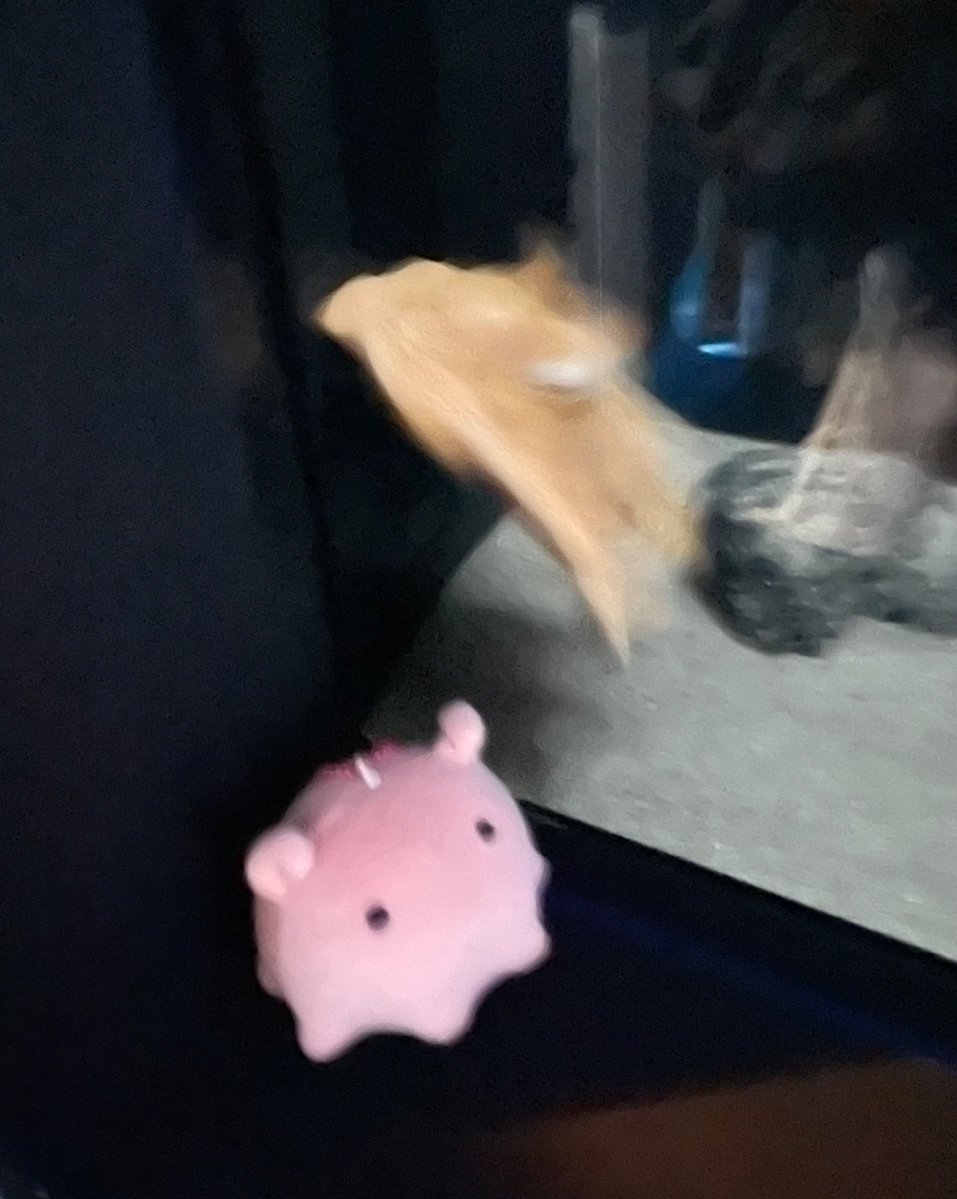 ume@さうるす🦕めんだこ🐙医療ざっかふぇす4/12、5/23.24デザフェス両日 tweet media