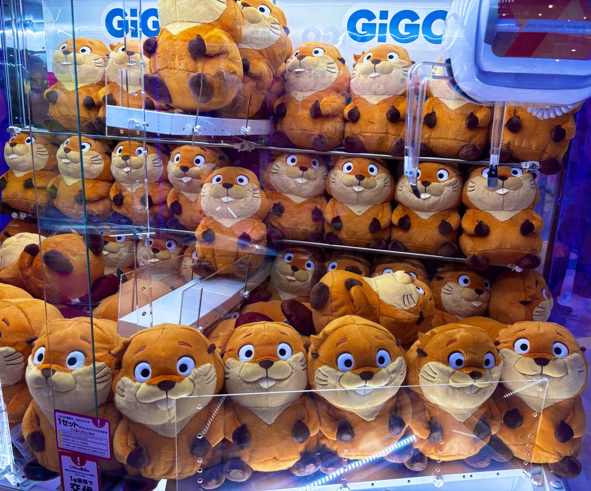 よだくん🍕 tweet media