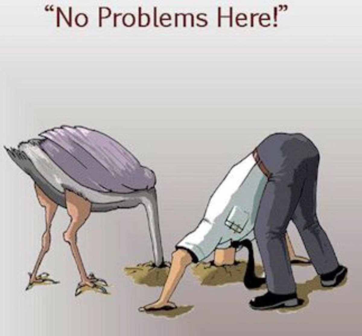 Gerardus tweet media