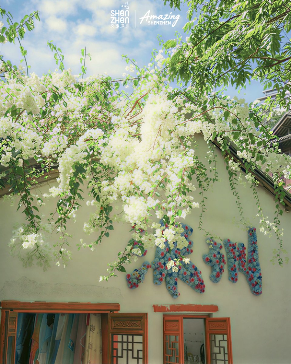 Amazing Shenzhen tweet media