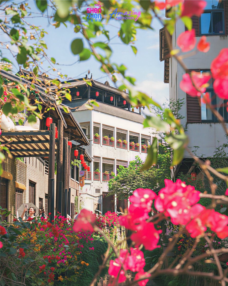 Amazing Shenzhen tweet media
