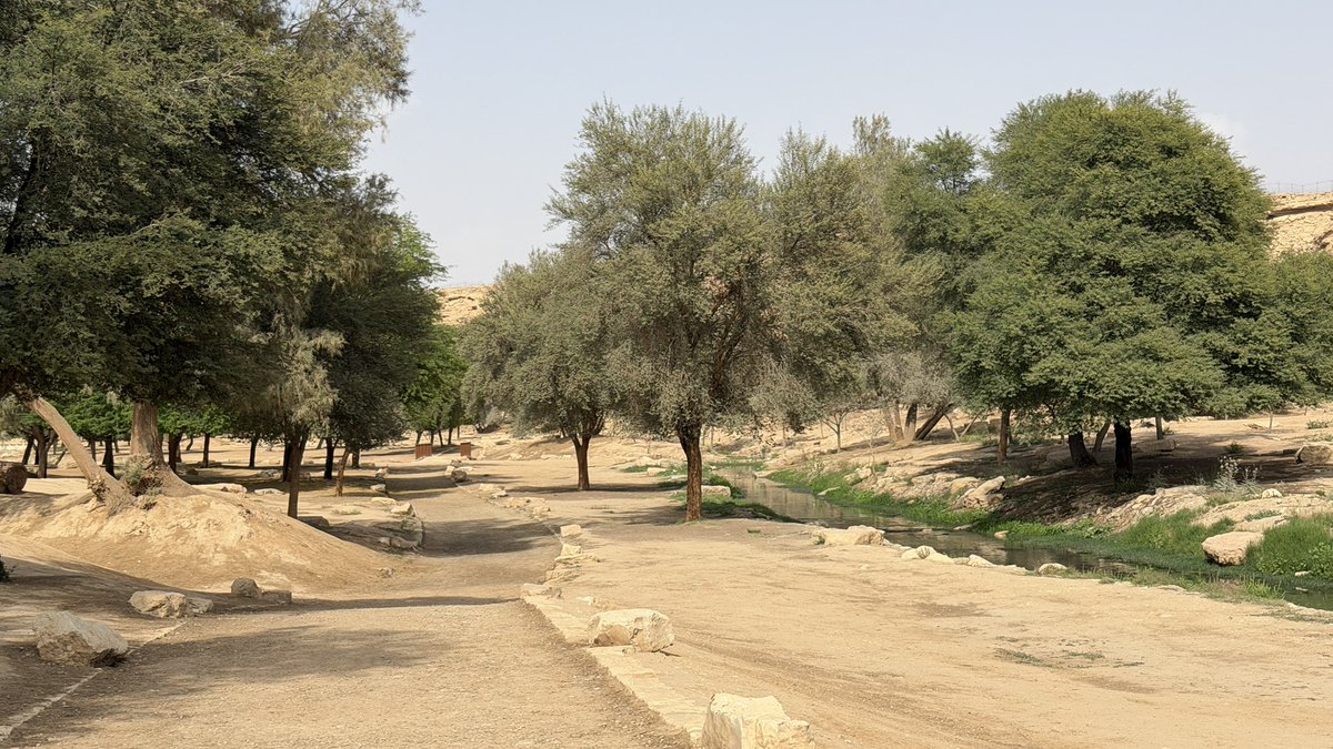 عبود المنلا tweet media