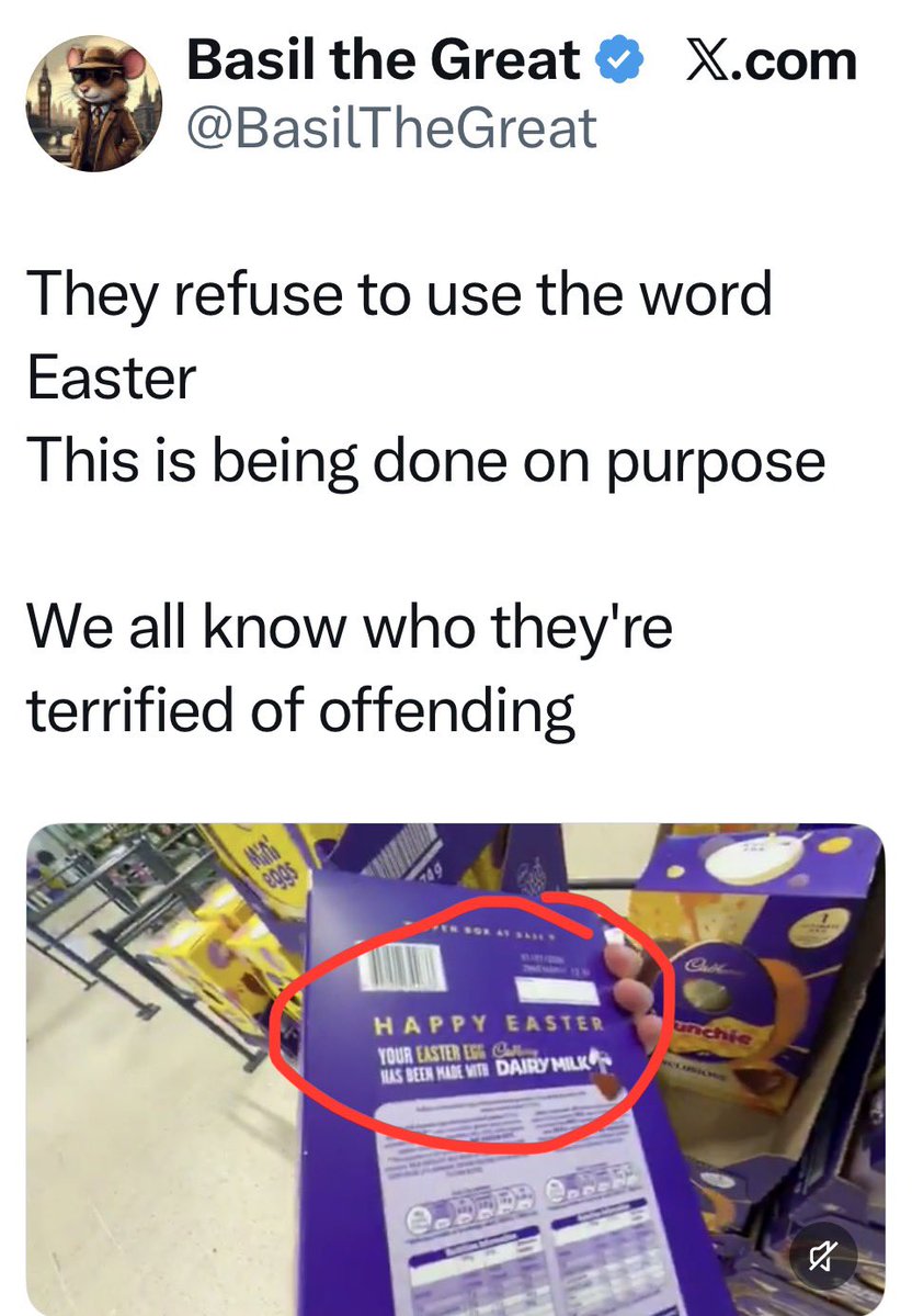 Campbell Mitchell tweet media