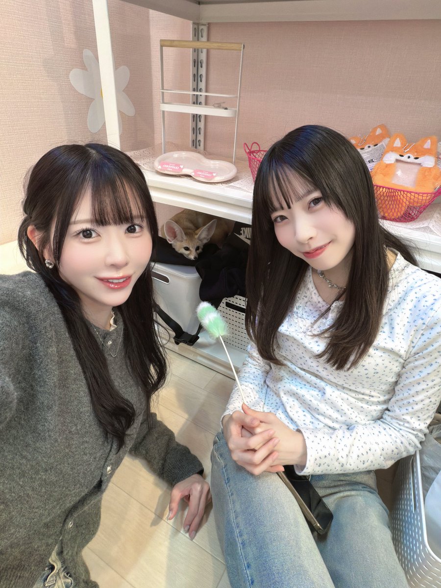 楠ろあ 【THE ORCHESTRA TOKYO】 tweet media