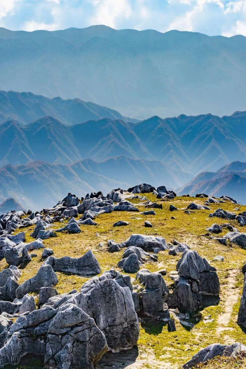 Alex Lenex tweet media