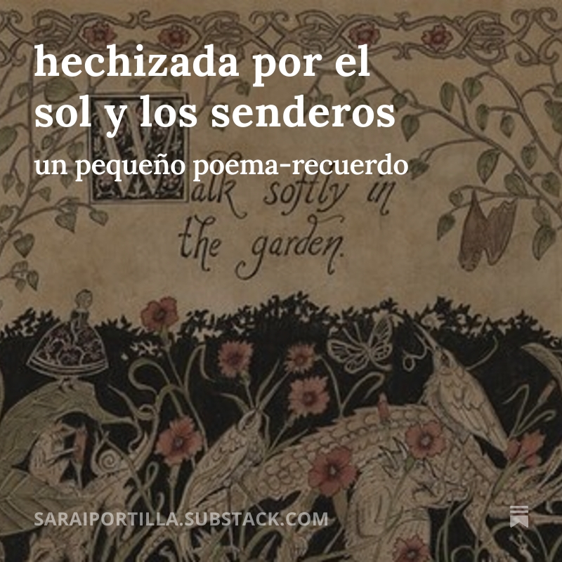 sarai portilla tweet media