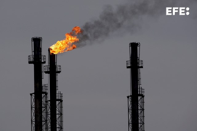 EFE Noticias tweet media