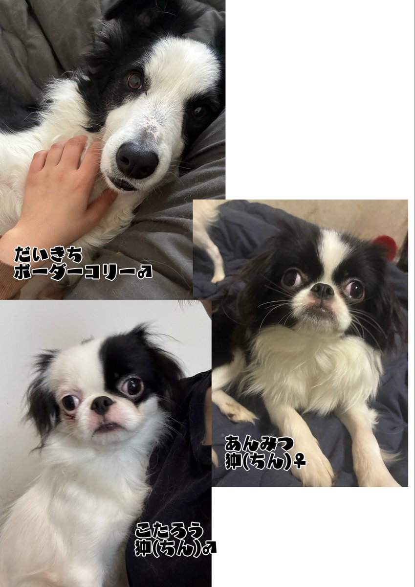 まみんごは7月全経上級受験✏️ tweet media