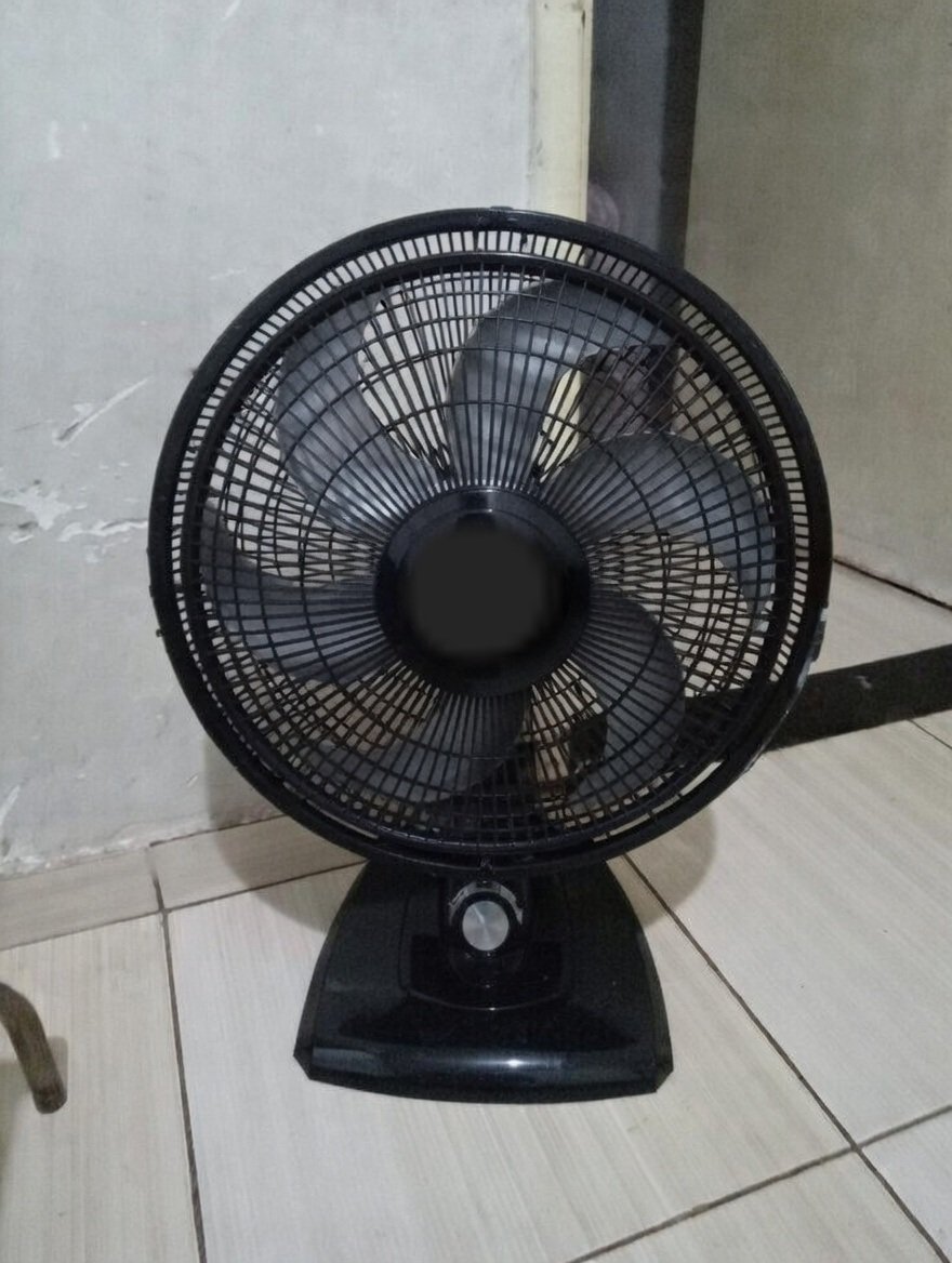 aril piterpen tweet media