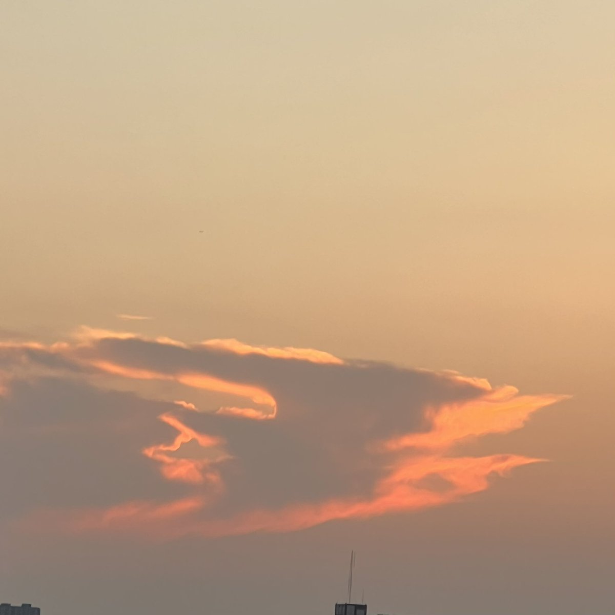 🇹🇭💜geejee💜🇹🇭 tweet media