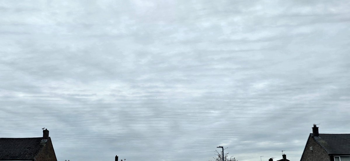 Opinionated Citizen🏴‍☠️ 🚜 tweet media