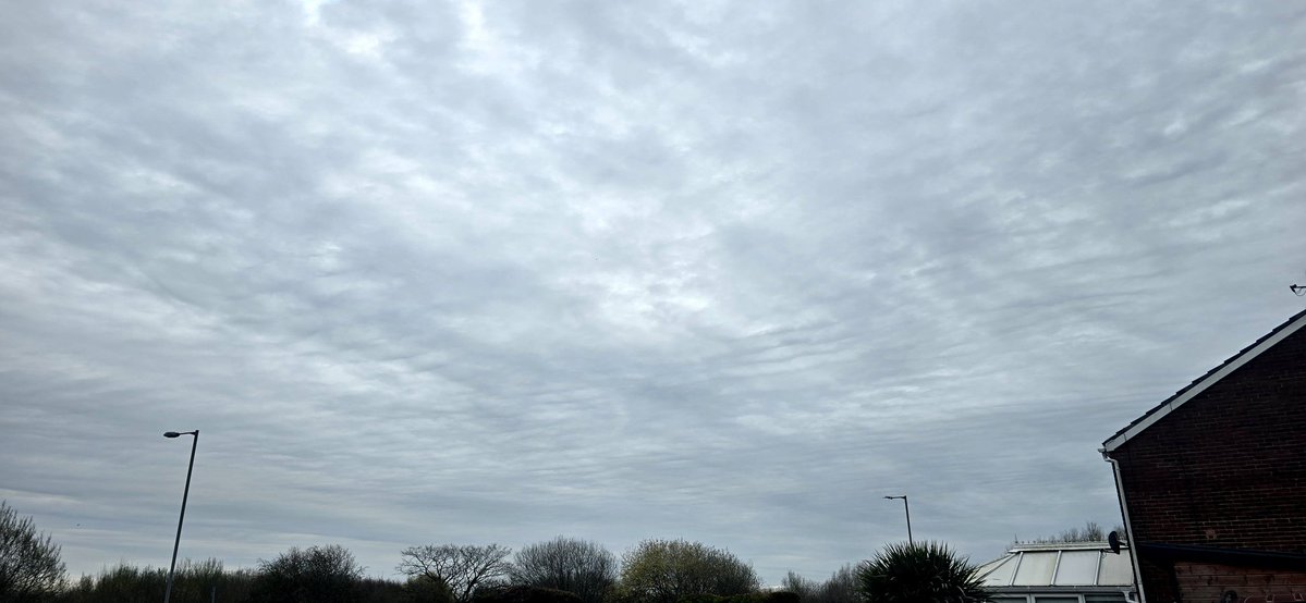 Opinionated Citizen🏴‍☠️ 🚜 tweet media