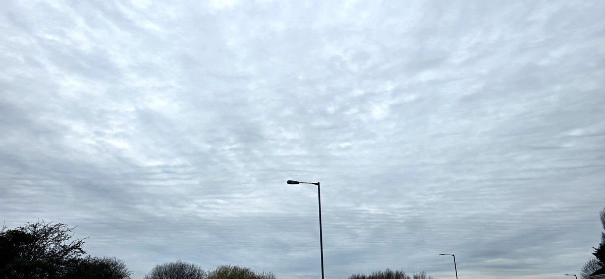 Opinionated Citizen🏴‍☠️ 🚜 tweet media