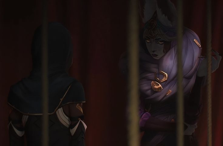 Acervo Mel Medarda tweet media