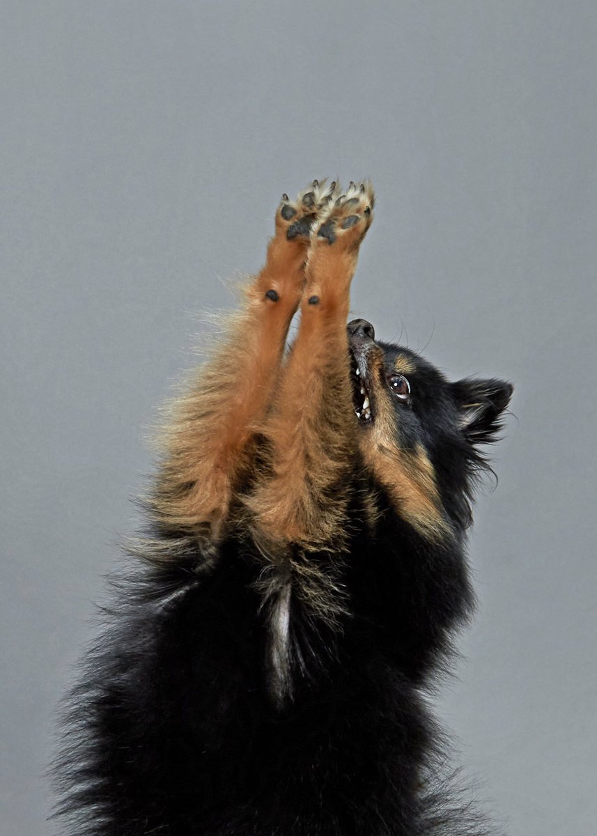 조오디 tweet media