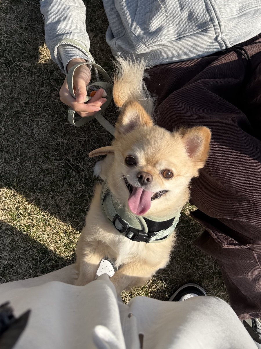 てん（６） tweet media