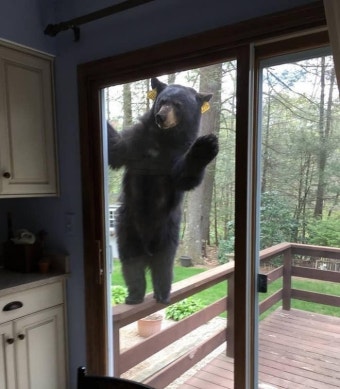 이름없음🌸 tweet media