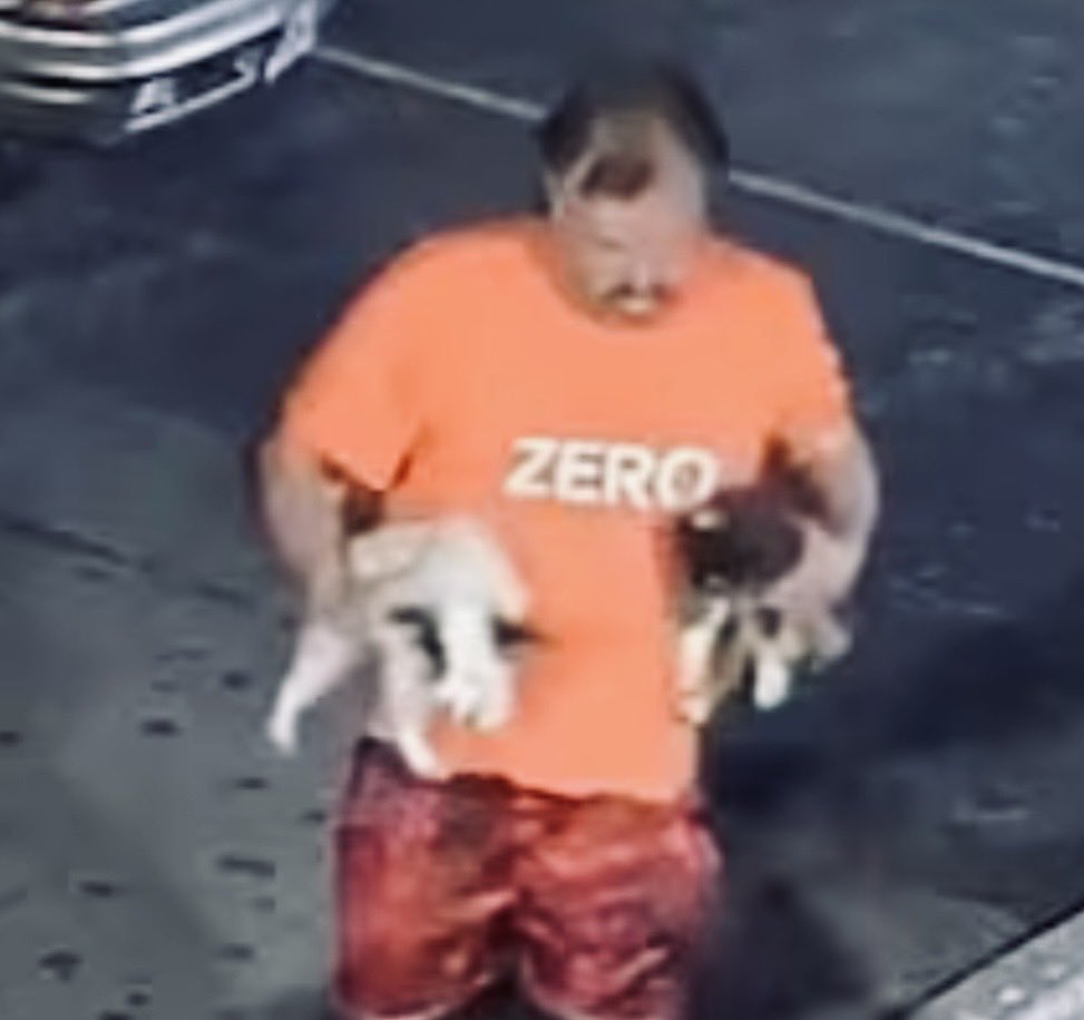 Dagen McDowell tweet media