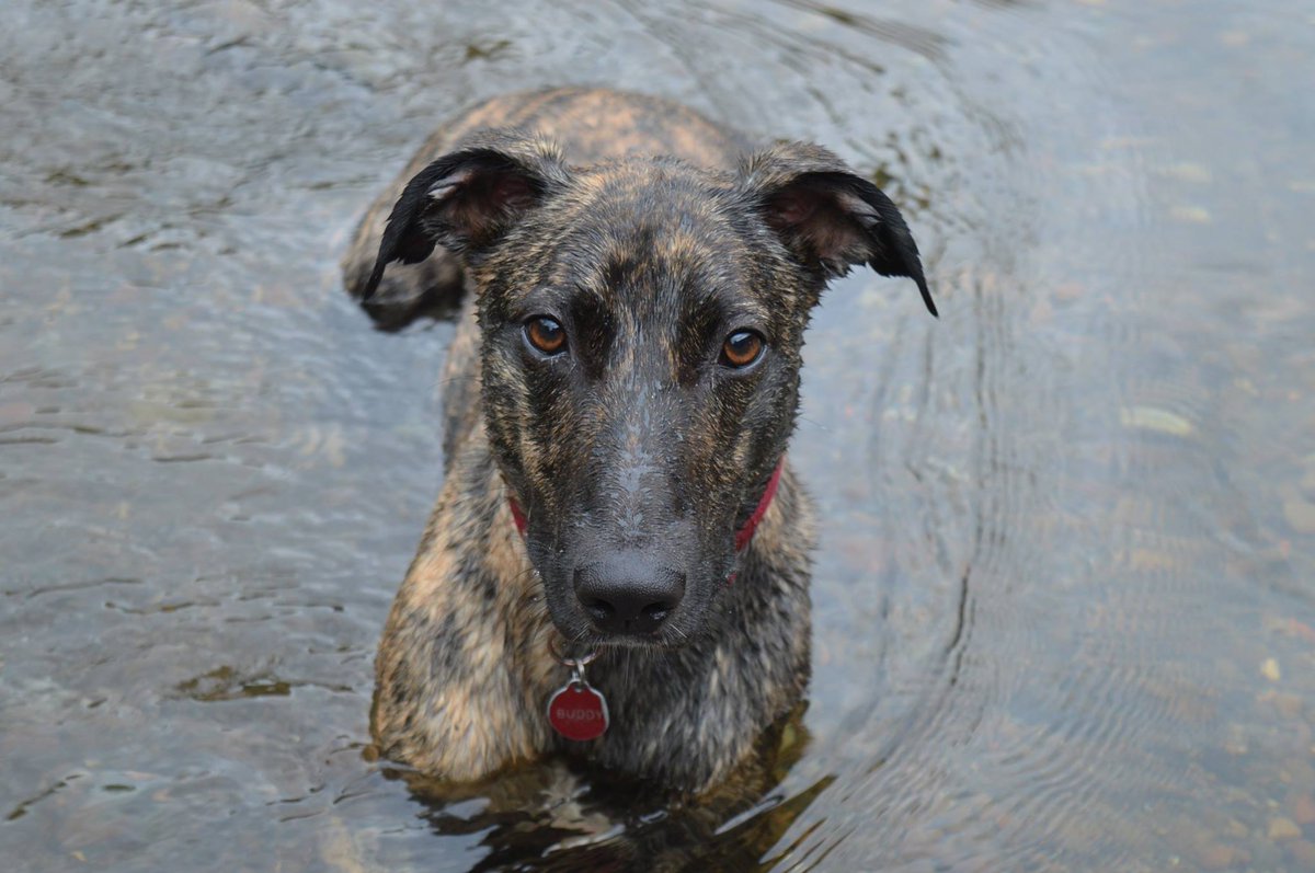 Tomos Doran 🏴 🇬🇧 🇺🇦 🇮🇱 🇵🇸 tweet media