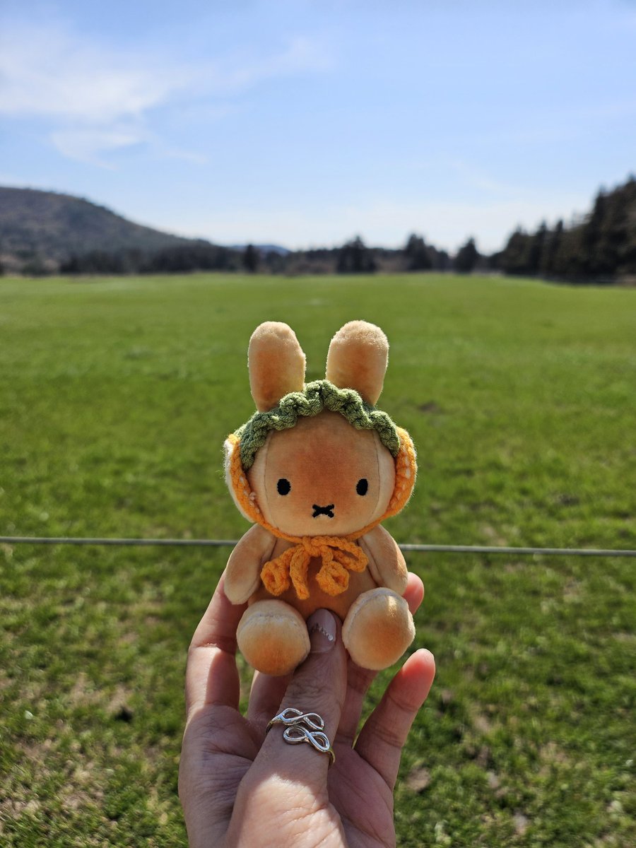 성비아 tweet media