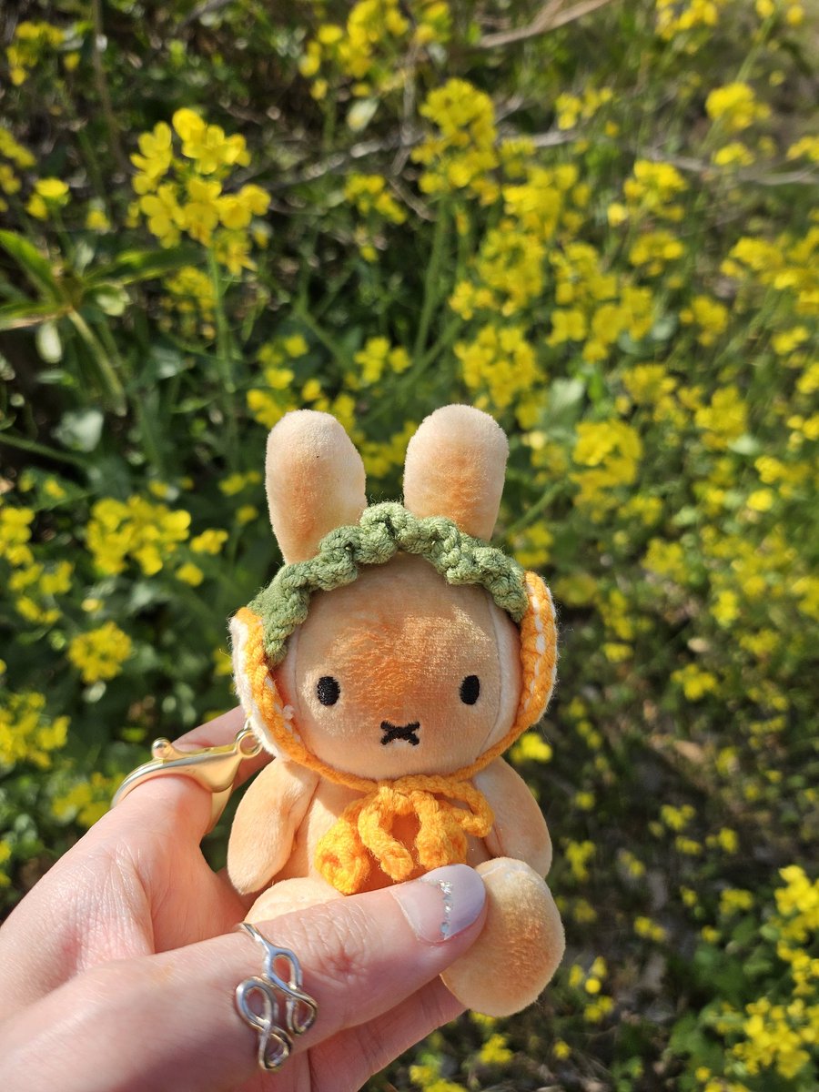 성비아 tweet media