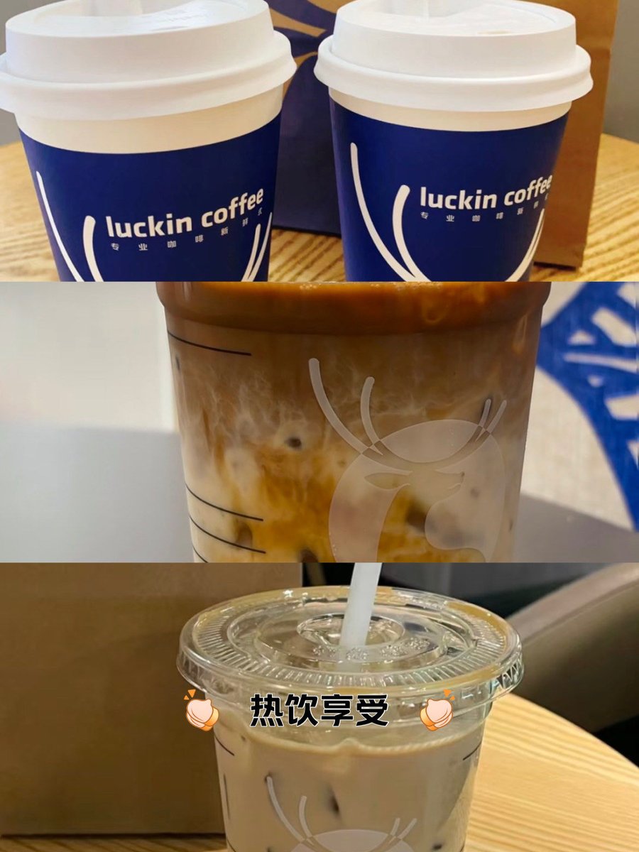 ivan palmeiras tweet media