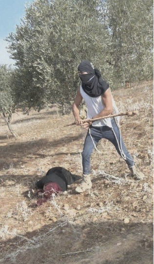 Gonzalo Delgado tweet media