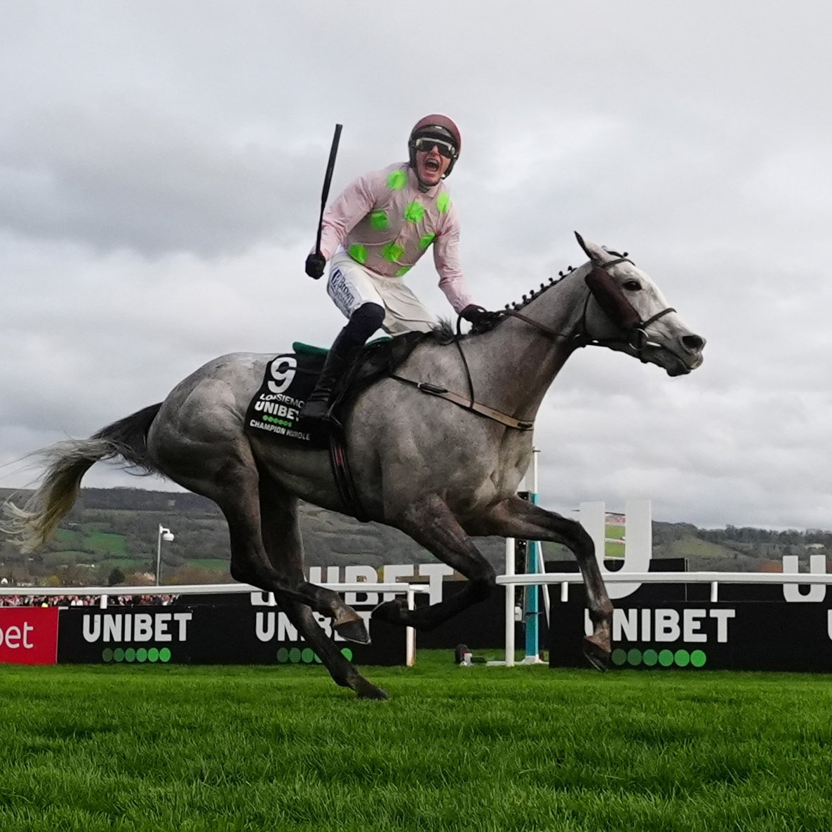 At The Races tweet media