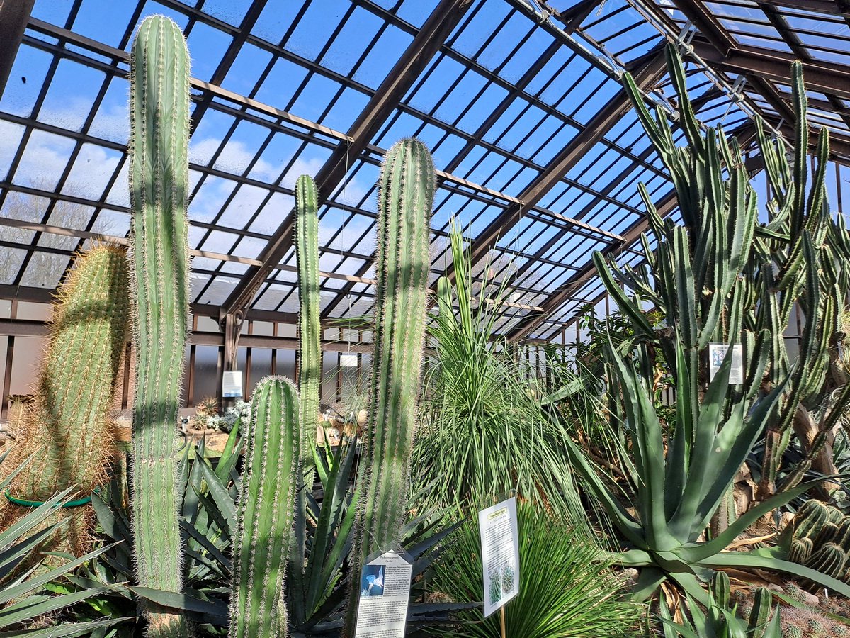 Matthew Lindsell tweet media