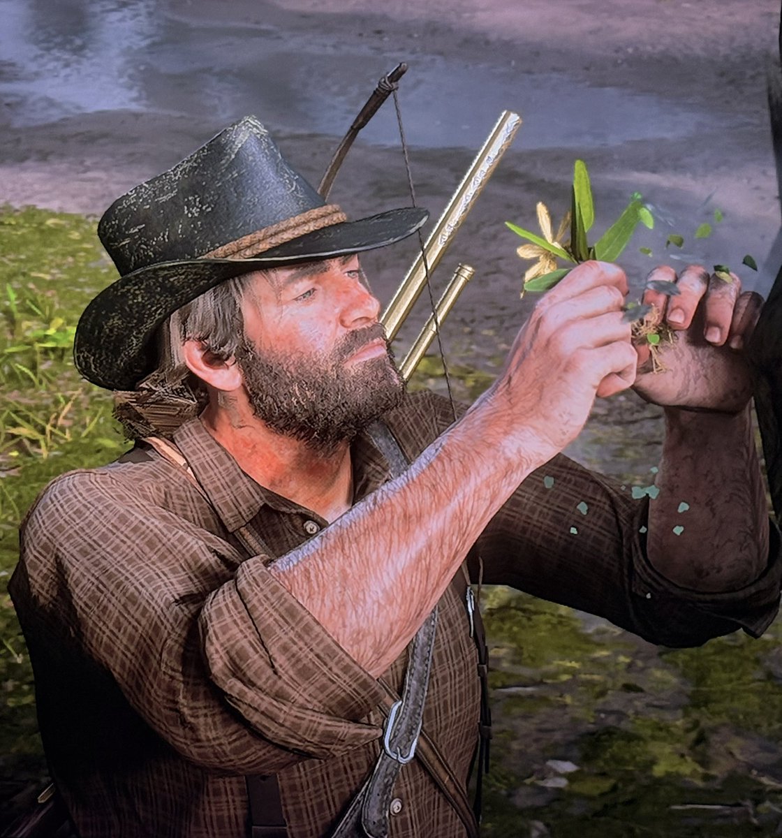 pip 🌱 tweet media