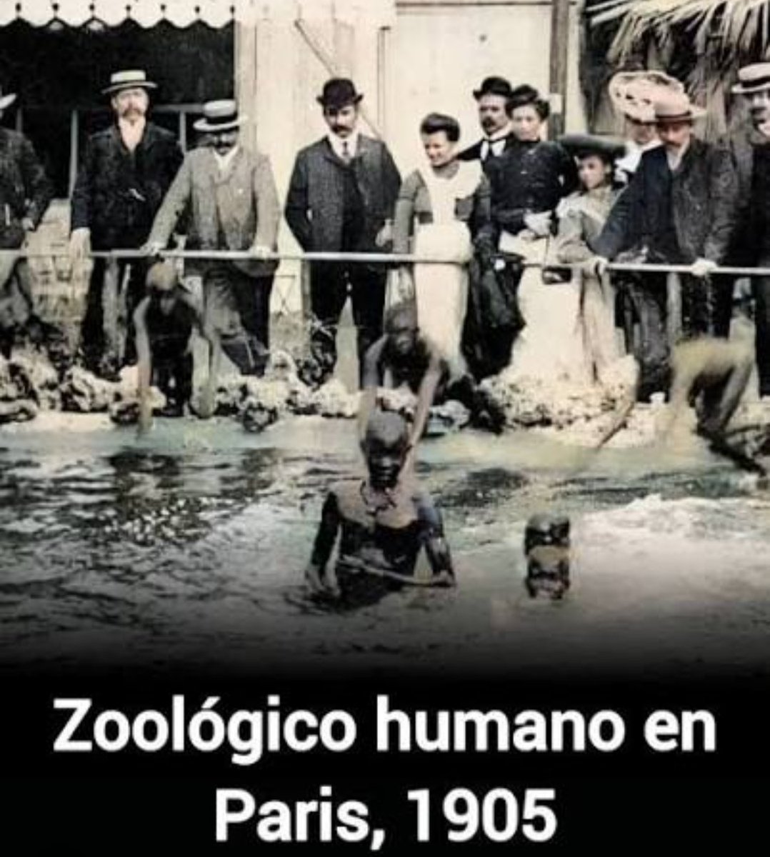 Sergio B. 🇦🇷🇮🇹⚖️🗽🐍📈 tweet media