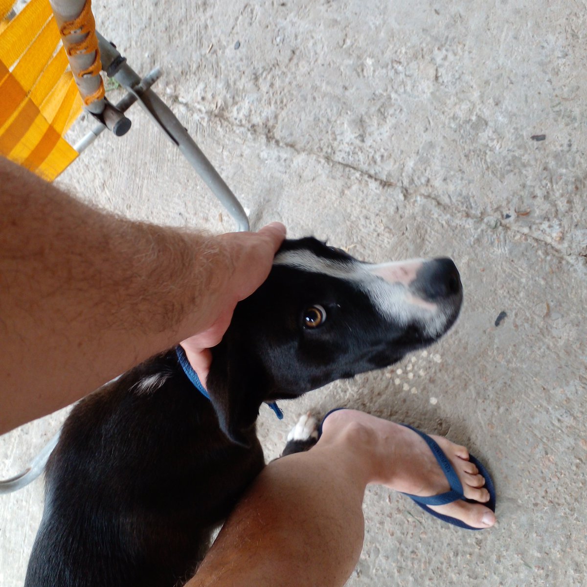 ALAN🇺🇾✊🏻 tweet media