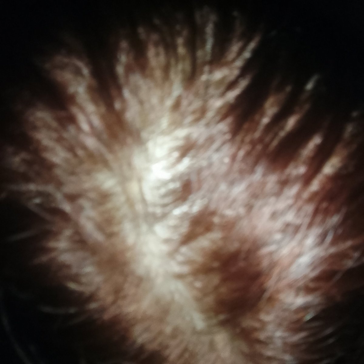 pacar caleb tweet media