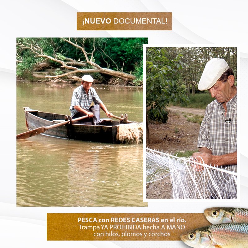 EugenioMonesma's tweet image. 🔴🎥 ESTRENO | #PESCA con #REDES caseras en el río. Trampa YA PROHIBIDA hecha a mano con hilos, plomos y corchos. #OficiosPerdidos

🕣 HOY a las 20:30h en mi canal de #Youtube: youtube.com/c/eugeniomones…
 
 ⏲️ Duración: 9 minutos

¡Espero que os guste! 😀