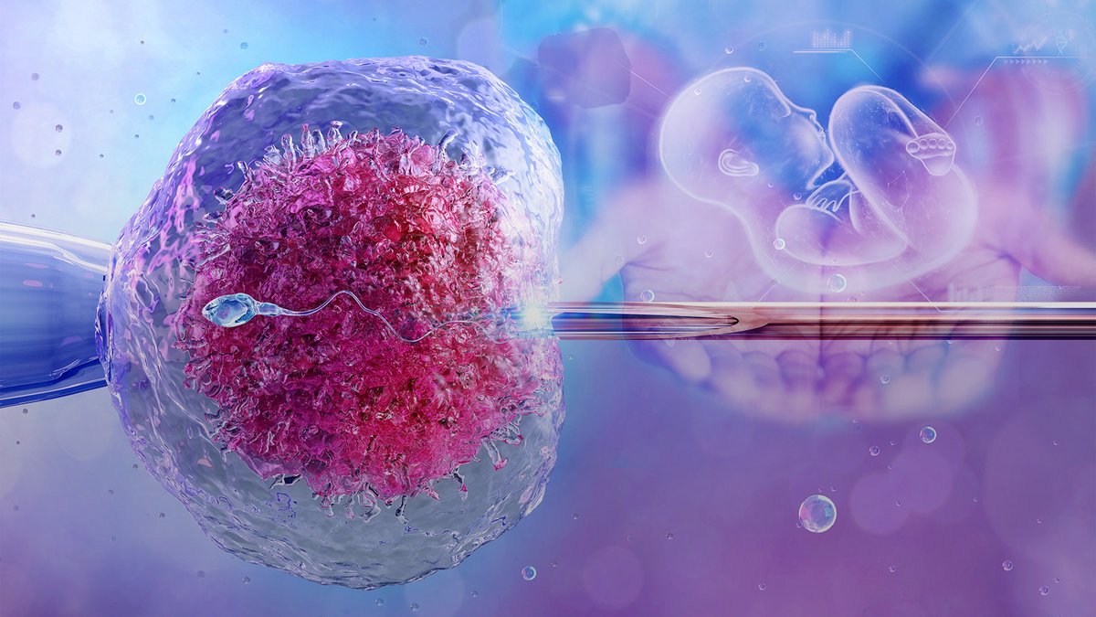 Laura Klassen tweet media