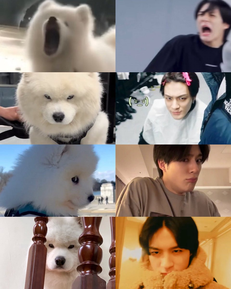 นี่คือหมาน้อยตุวจิง