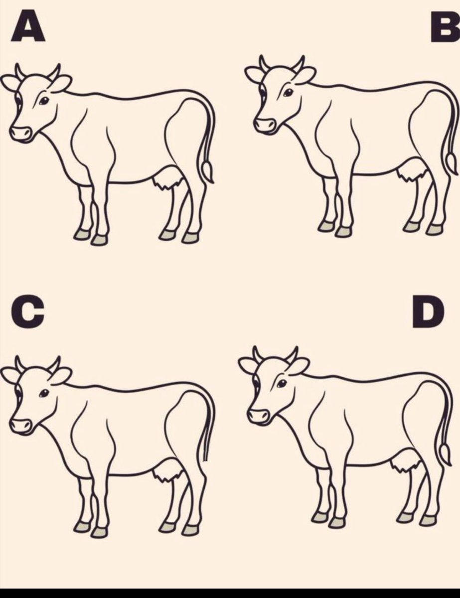 ᴅᴇsᴛᴀɴsıᴢ ᴇʙʀᴜ tweet media