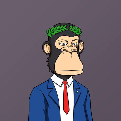 Baysed Labs🍌 tweet media