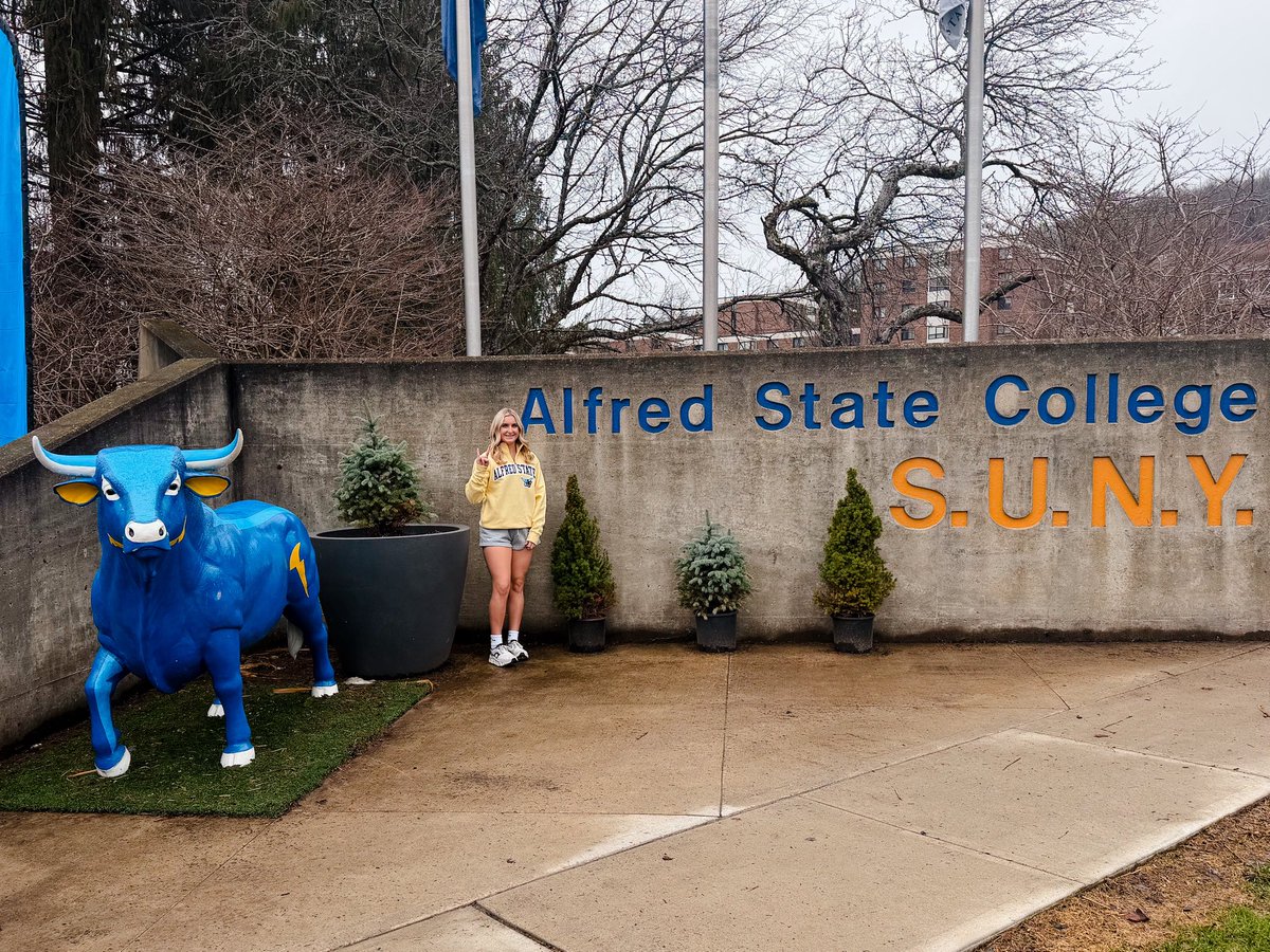 Scarlet D'Amico tweet media