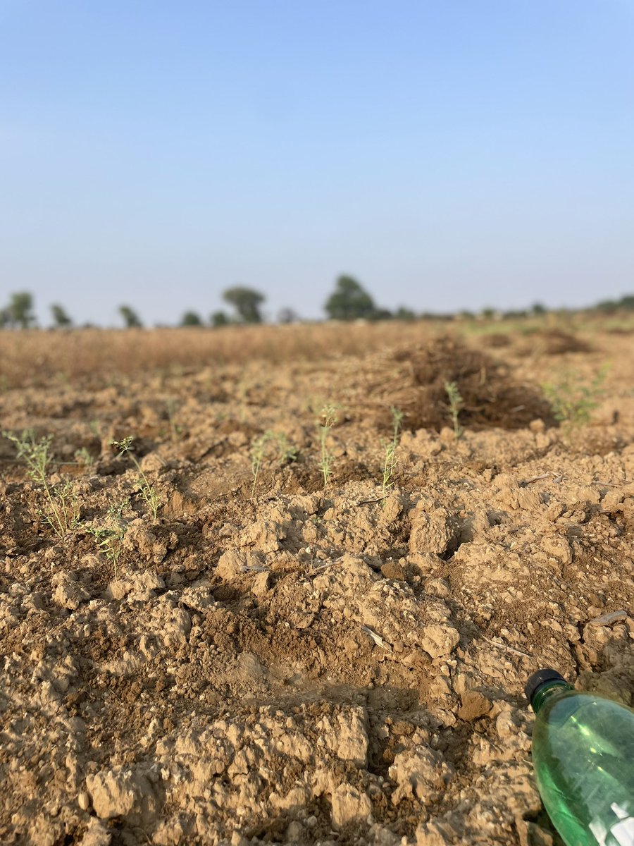 विनीत यादव सरपंच tweet media