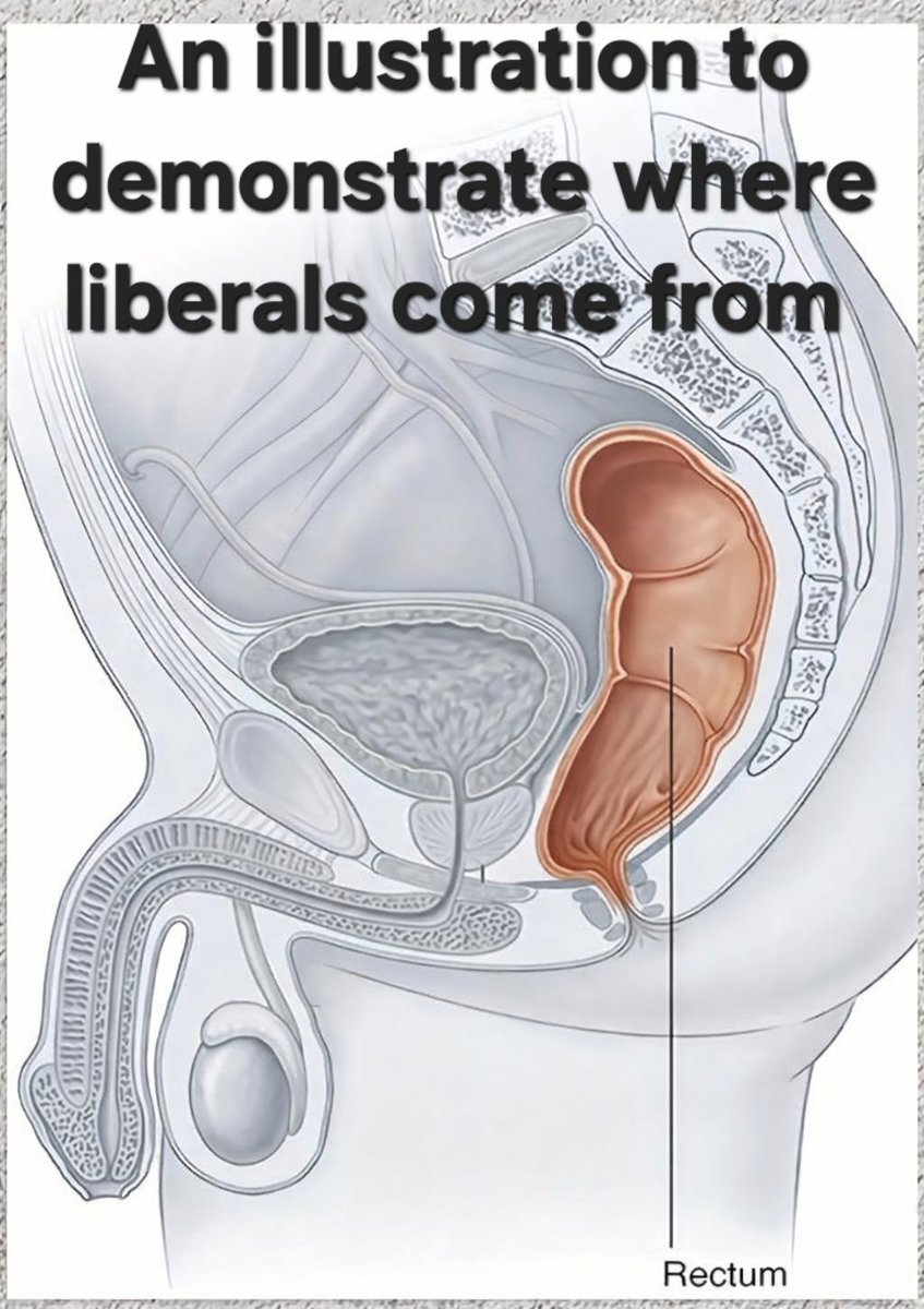 Trolling.Canuck tweet media