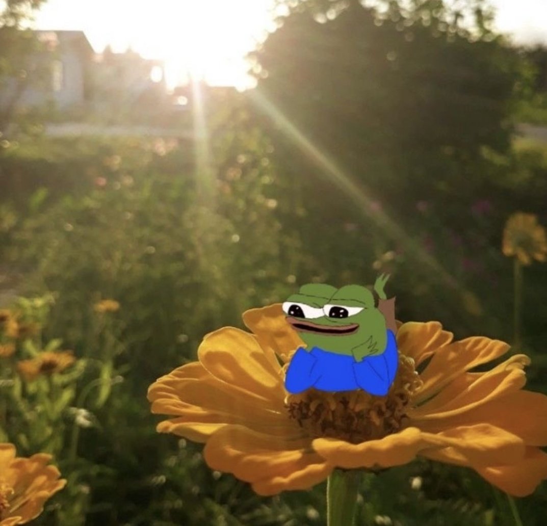 Dangle44 tweet media