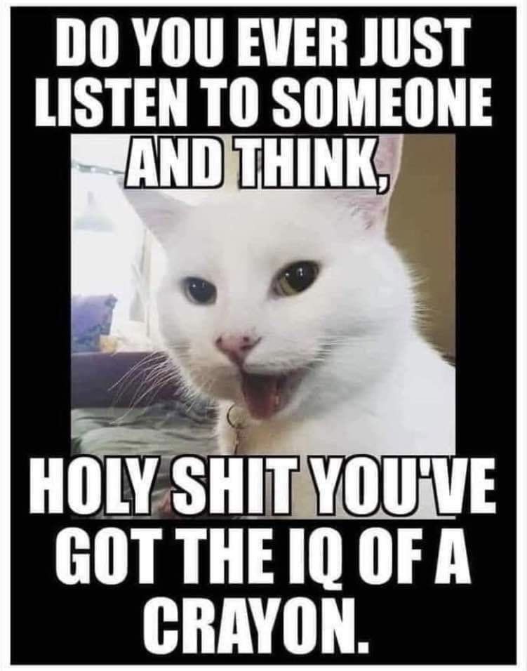 Melisa Adams tweet media