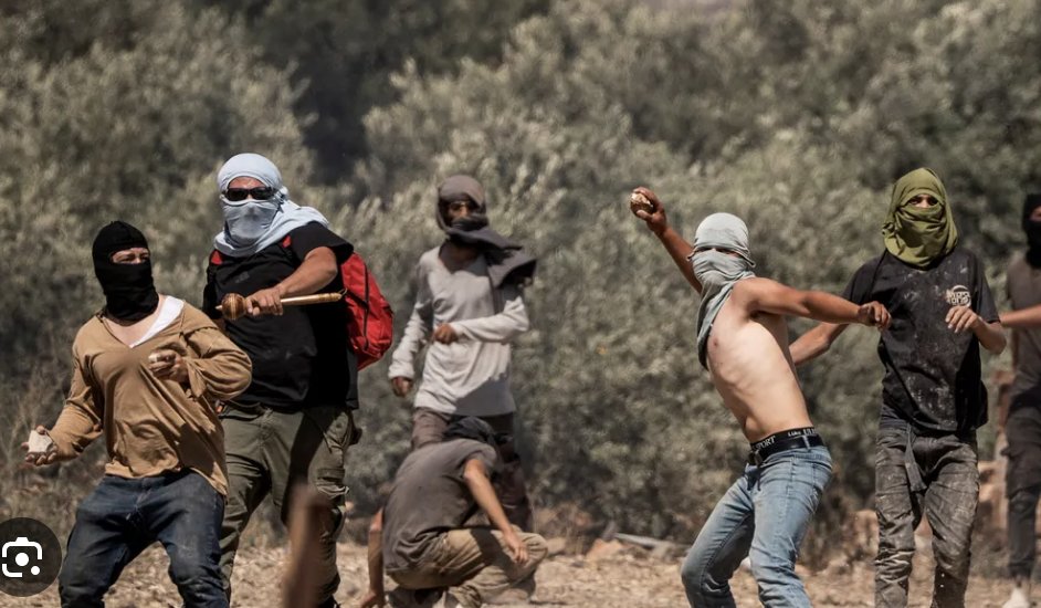 Gonzalo Delgado tweet media