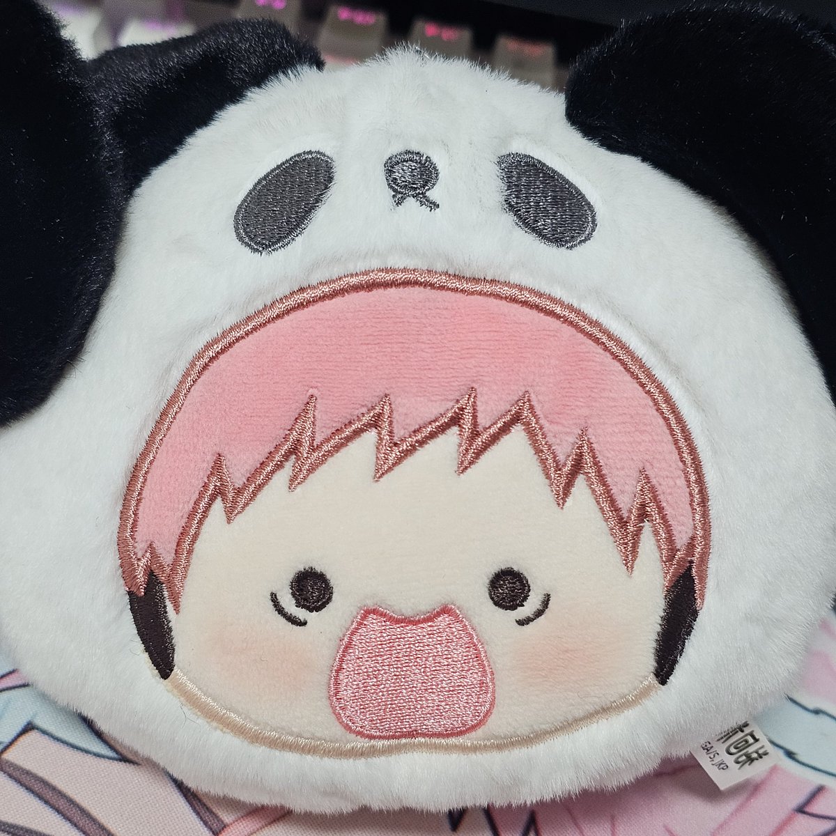 해팔|88🩵🩷 tweet media