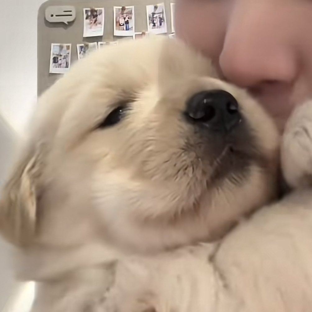 p.p 𓐄✿ tweet media