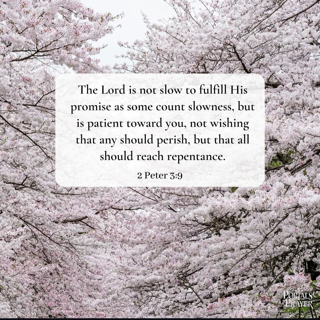 Chris Morgan tweet media