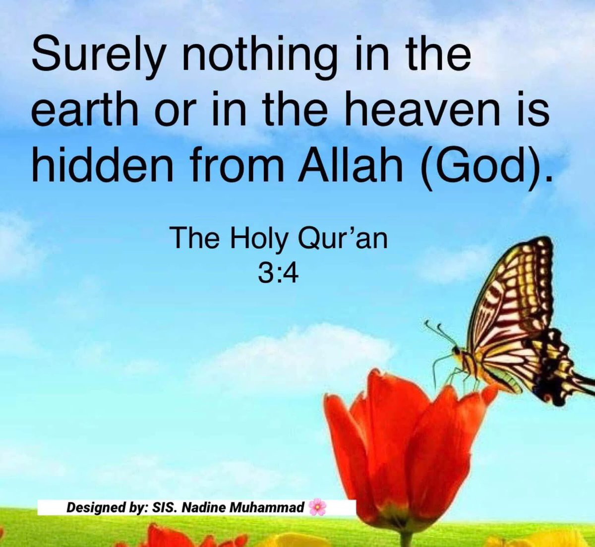 Dr. Nadine Muhammad tweet media