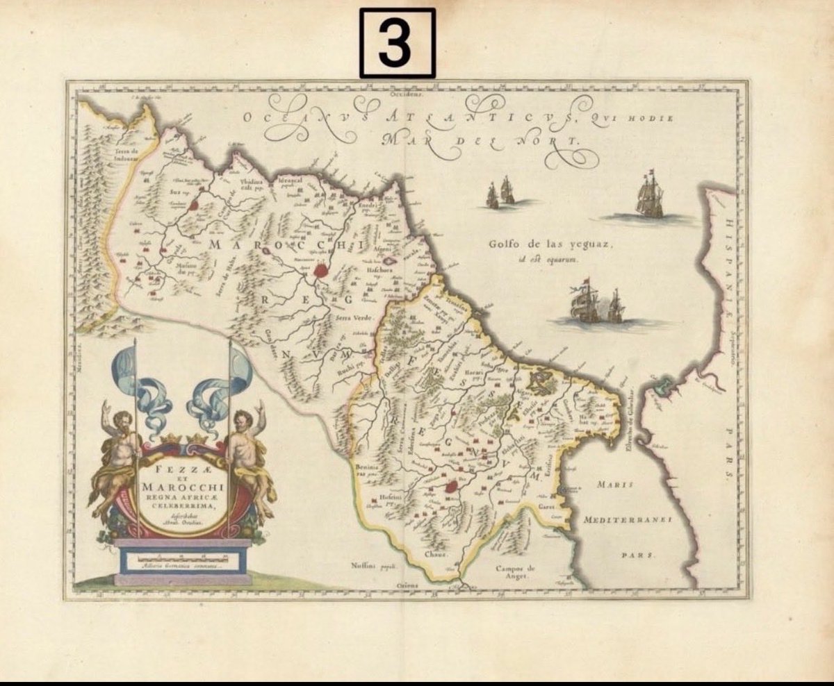 Fennec Lord 🦊 tweet media